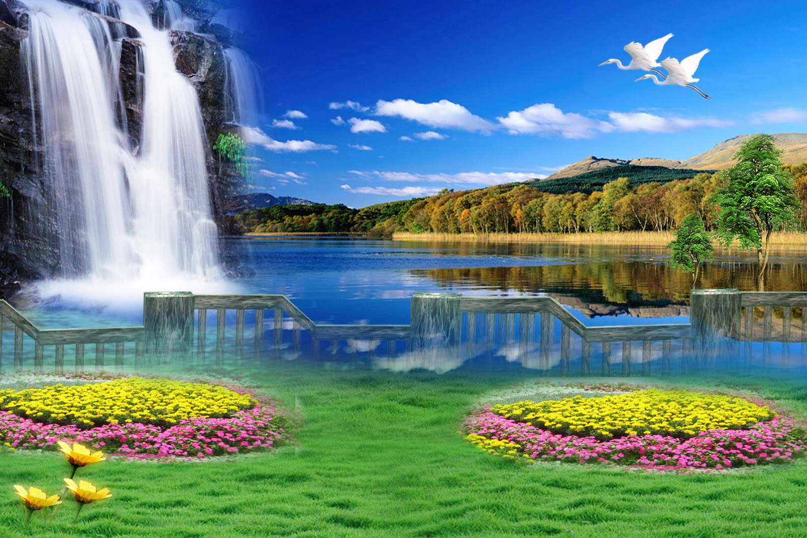 Download serene nature photos
